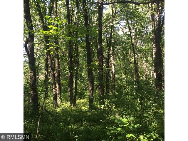 Beautiful Morrison County property.  53 acres with