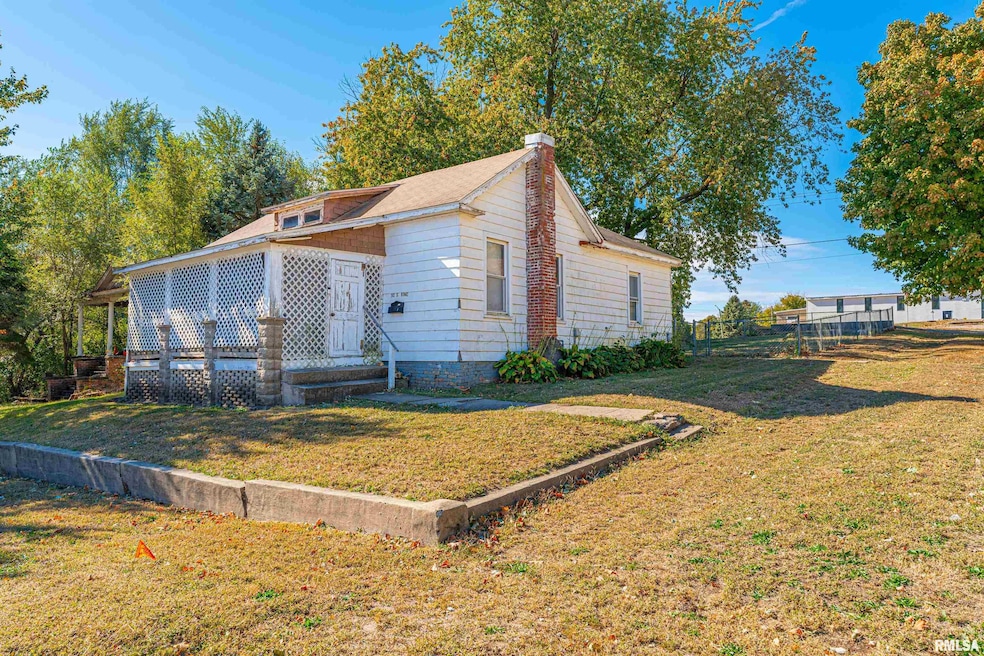 202 S Vine St, Mount Pulaski, IL 62548 - photo 1