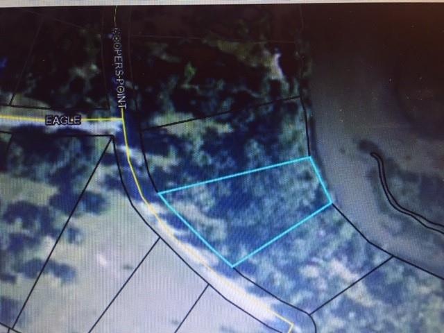 212 Cooper's Point Dr, Townsend, GA 31331 - photo 1