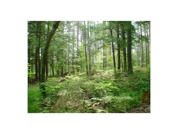 0 Templeton Turnpike unit 4187278, Fitzwilliam, NH 03447 - photo 1