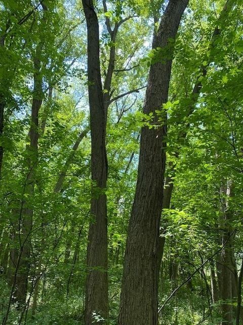 5 Ac Sunrise Rd, Rutland, WI 53575 - photo 1