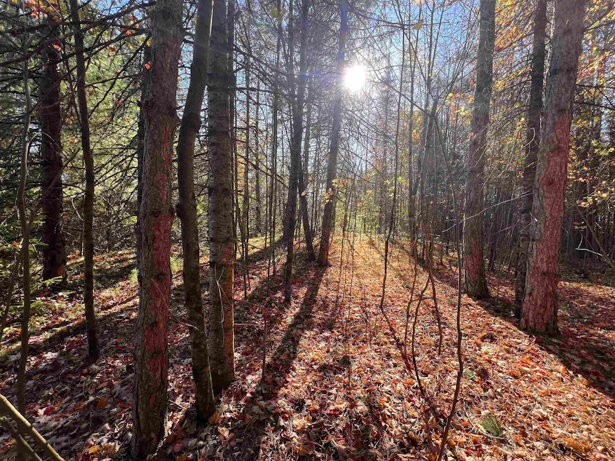 0 Cole School Rd, Beecher, WI 54156 - photo 1