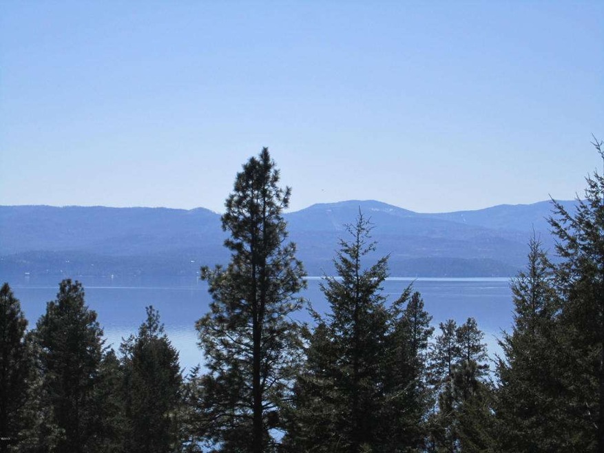 Flathead Lake Views