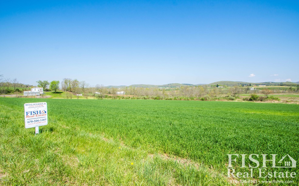 000 Ellis Artley Rd unit LOT 1, Muncy Township, PA 17756 - photo 1