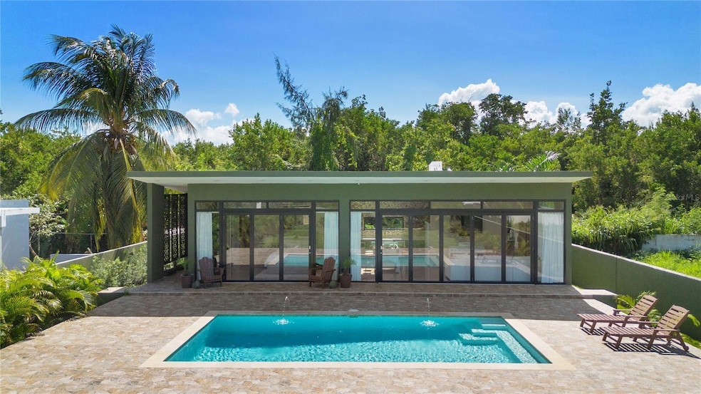 Camino Las Picuas Bo Zarzal, Rio Grande, PR 00745 - photo 1