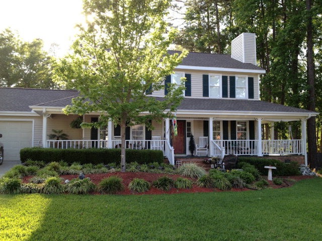 Main View
