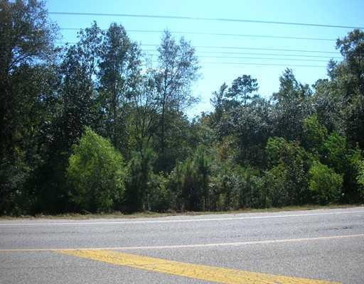 Photo. 2 AC LOTS OF HWY FRONTAGE COUNTRY PROPERTY
