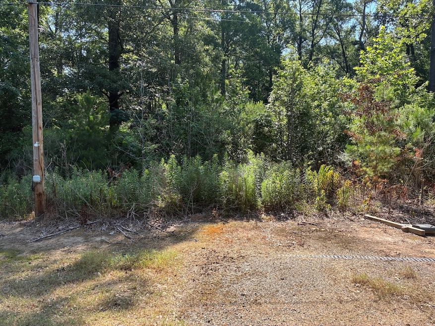 134 E Cloverleaf Dr, Haughton, LA 71037 - photo 1