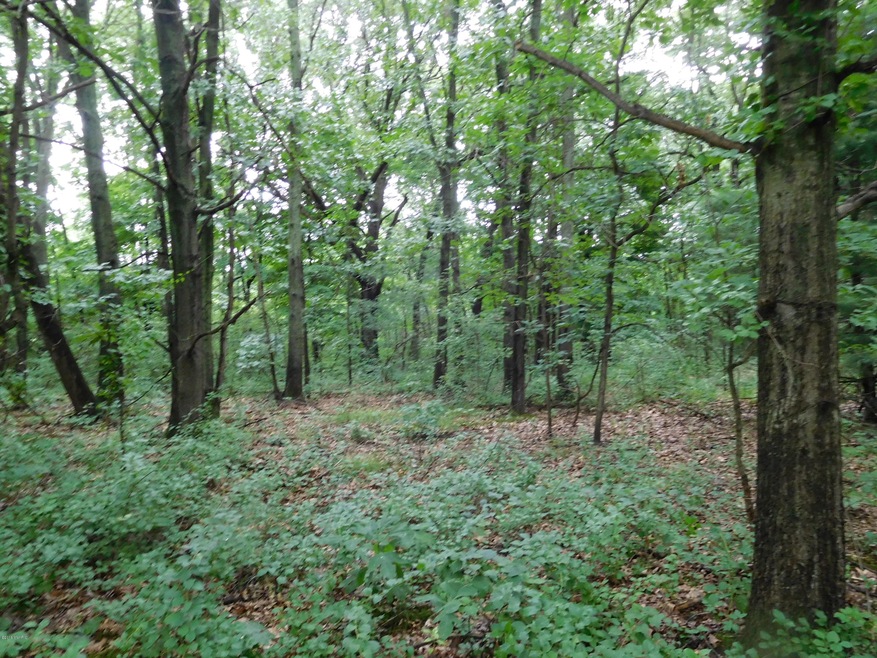 DSCN1483_2592