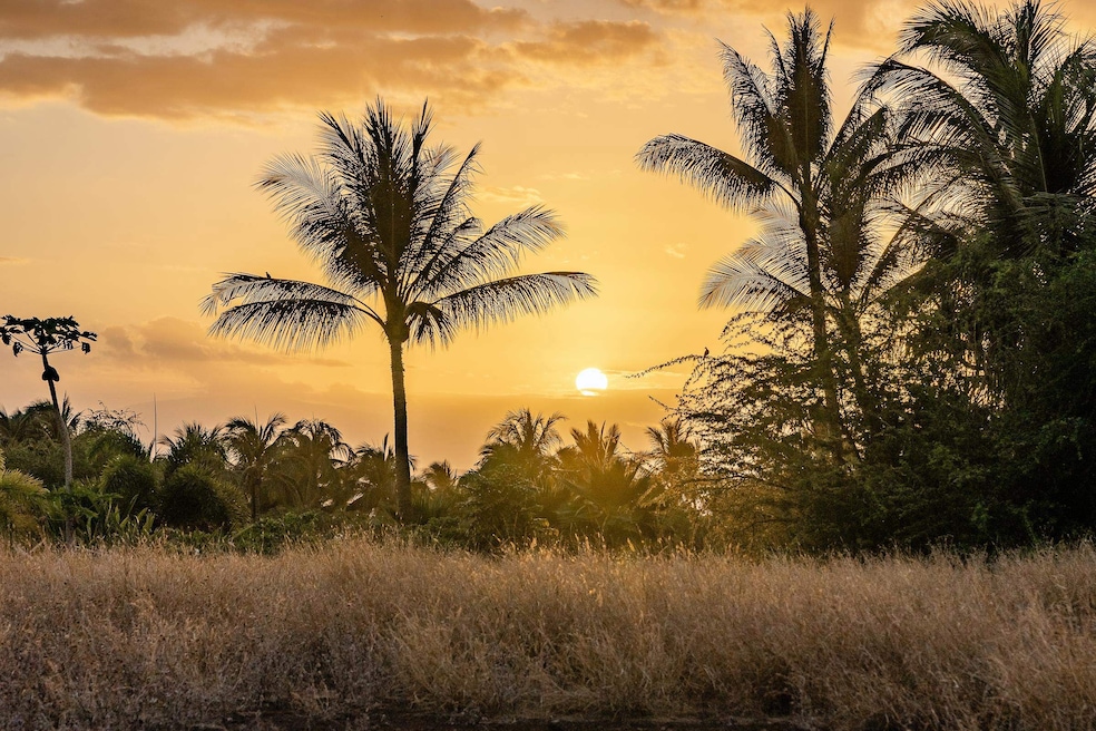 Sunset at Ground Level