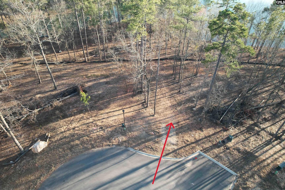 1533 Saugus Ct, Chapin, SC 29036 - photo 1