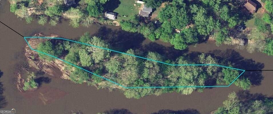 0 Adam Ferry Rd unit 10444398, Talbotton, GA 31827 - photo 1