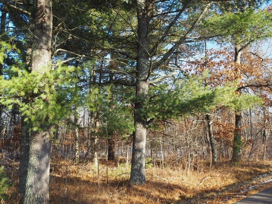 XXX Minerva Dam Rd, Danbury, WI 54830 - photo 1