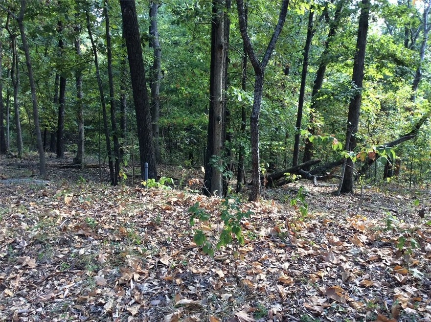 Lot 23 Lune Ln, Bella Vista, AR 72714 - photo 1