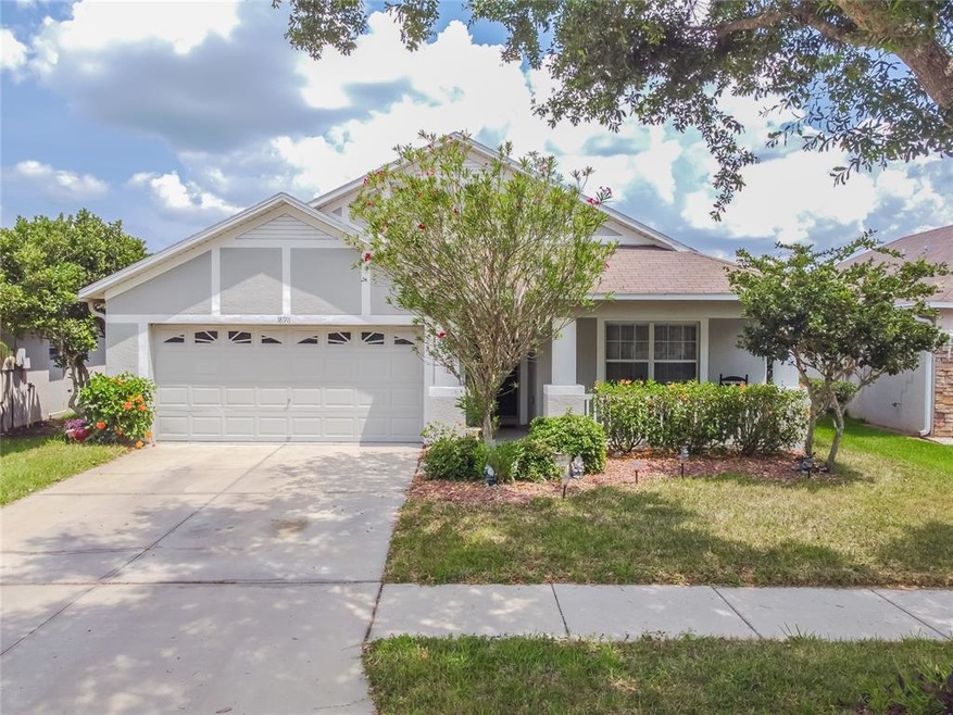 18911 New Passage Blvd, Land O Lakes, FL 34638 - photo 1