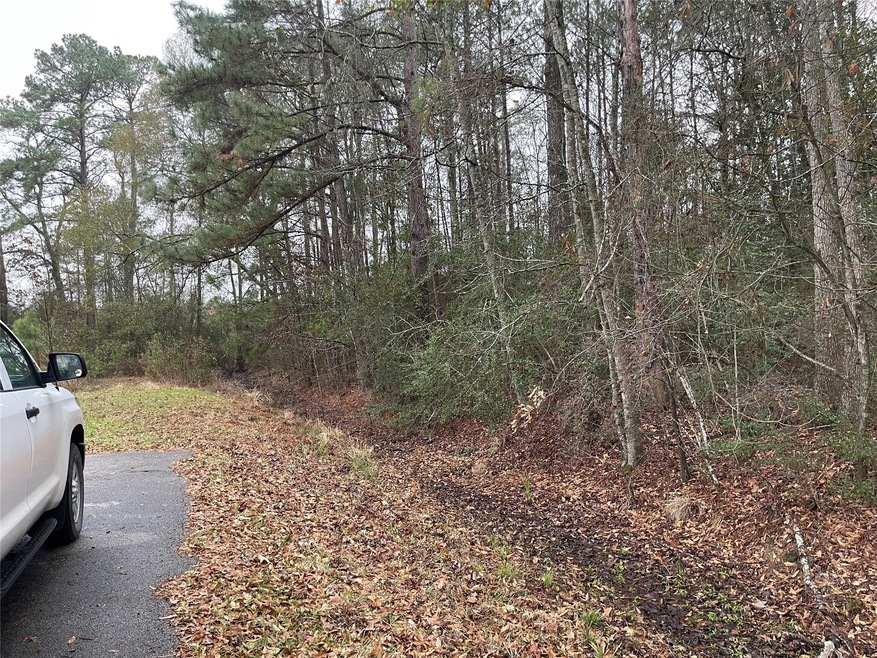 0 Allendale Ln unit 97098358, Conroe, TX 77302 - photo 1