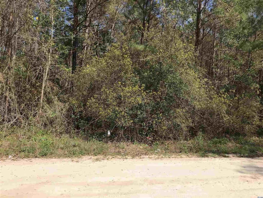 TBD Gemini Cir unit Juniper Bay Estates, Conway, SC 29527 - photo 1