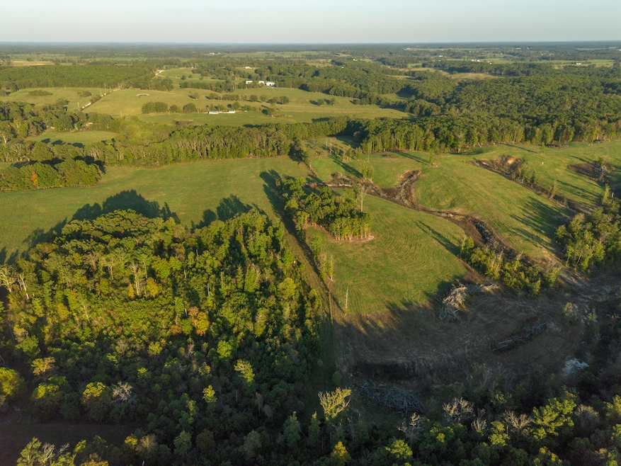 000 Dixon Rd, Licking, MO 65542 - photo 1