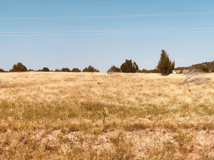 TBD Hart Ranch Rd, Beulah, CO 81023 - photo 1