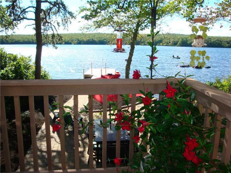View. View of Wallum Lake from your back deck