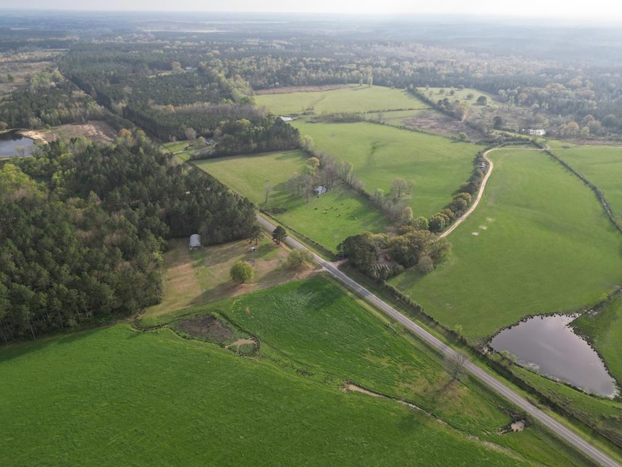 1116 Hilt Fornea Rd, Poplarville, MS 39470 - photo 1