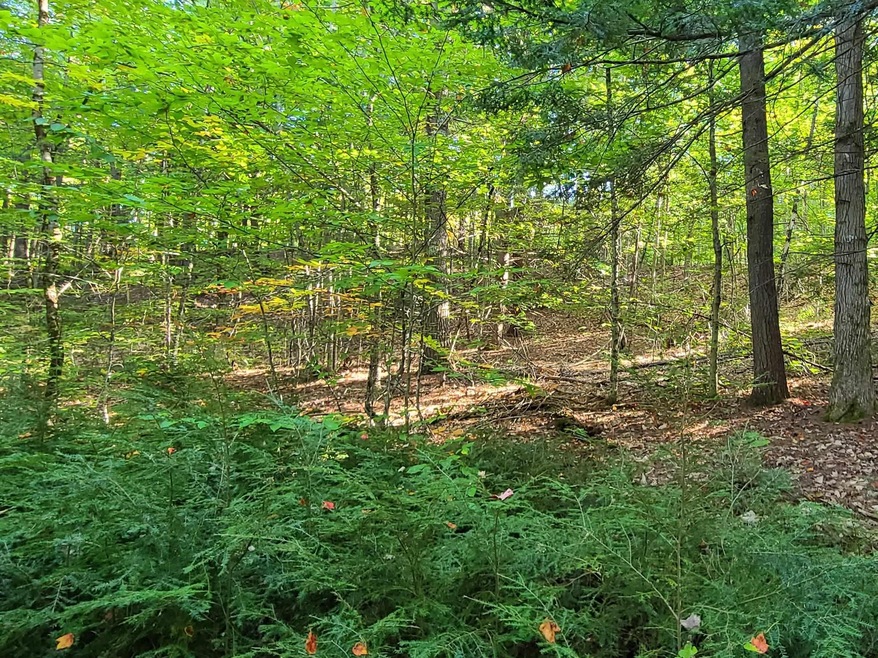 00 Crew Rd unit RR Lot 3, Brookfield, NH 03872 - photo 1