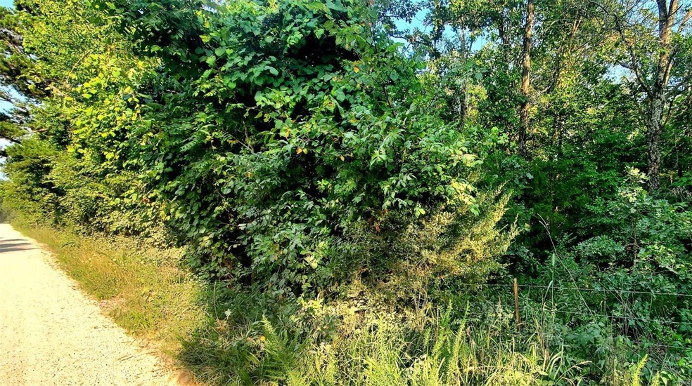 0 Tbd County Road 7240, Newburg, MO 65550 - photo 1