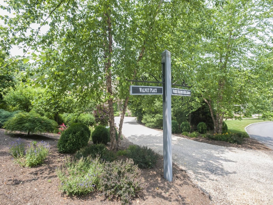 132 Walnut Place, White Sulphur Springs, WV 24986 - photo 1