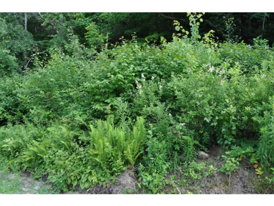 00 Stewart Rd, Danbury, NH 03230 - photo 1