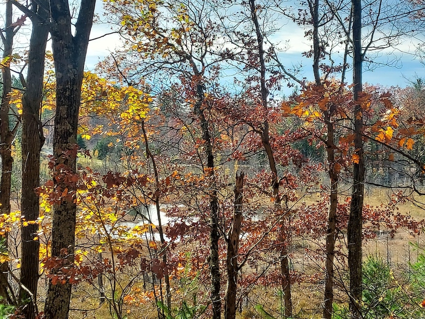 French Rd, Amberg, WI 54156 - photo 1