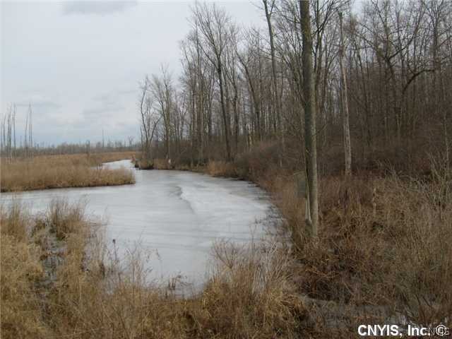Other Marsh