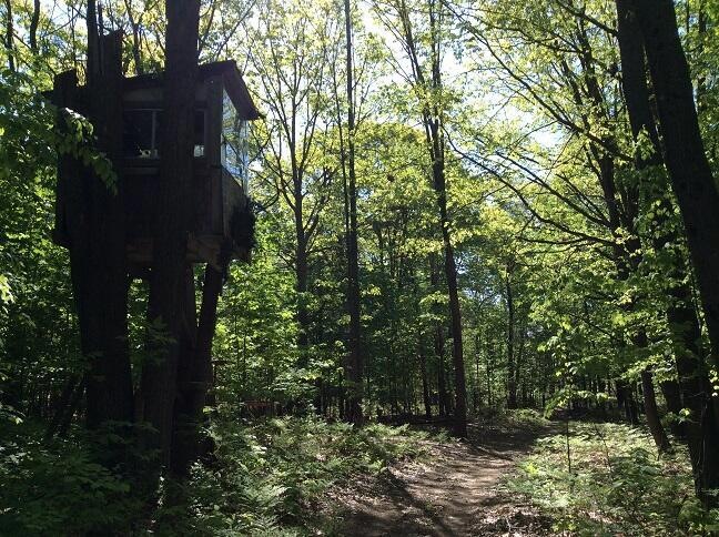 9198 W Grant St, Beaver Township, MI 49309 - photo 1