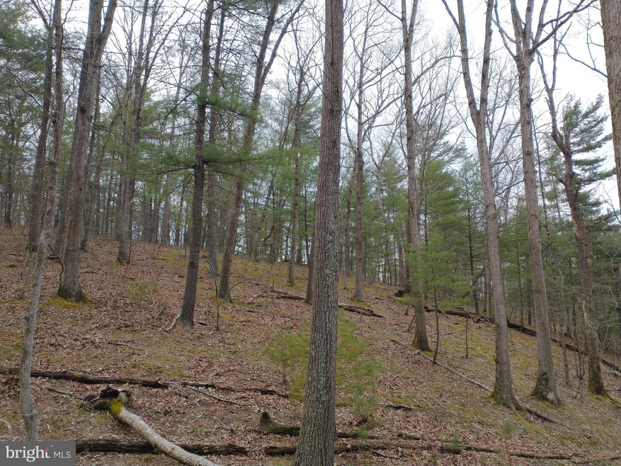 0 Horn Camp Rd unit WVHS115546, Rio, WV 26755 - photo 1