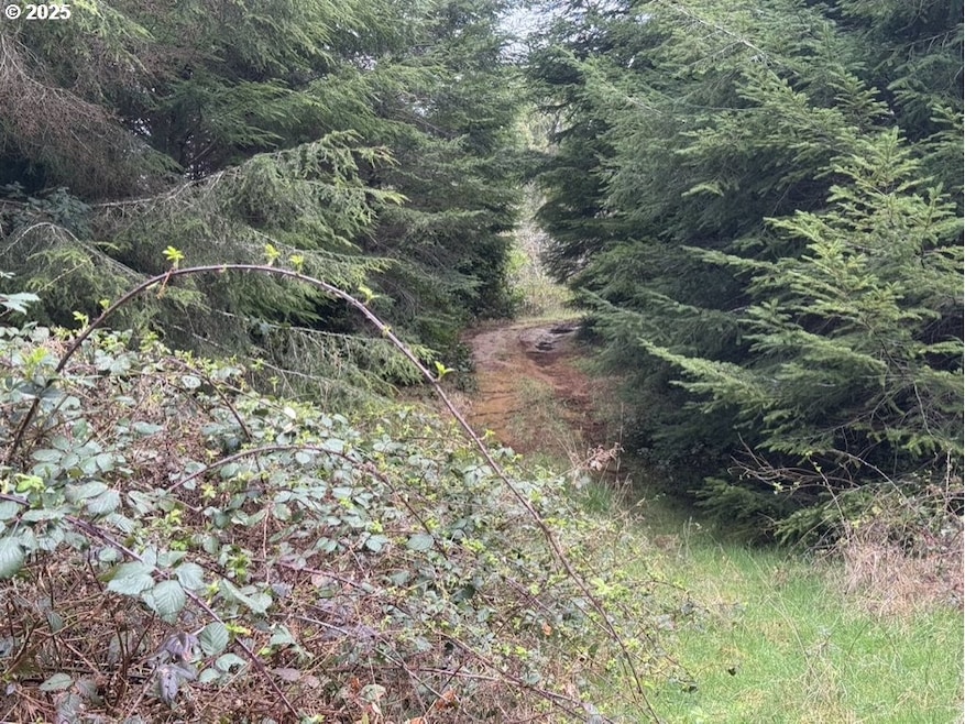 0 Wildberry Rd, Coosbay, OR 97420 - photo 1