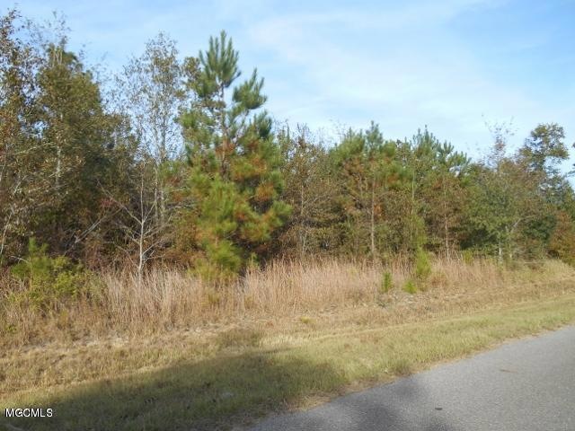 20 August, Lucedale, MS 39452 - photo 1