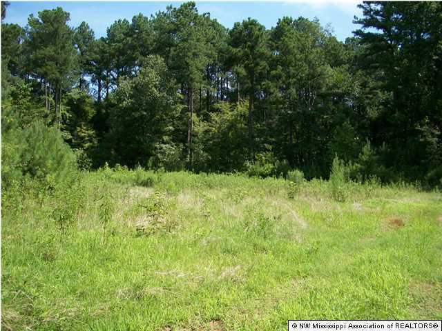 unlisted-address, Hernando, MS 38632 - photo 1