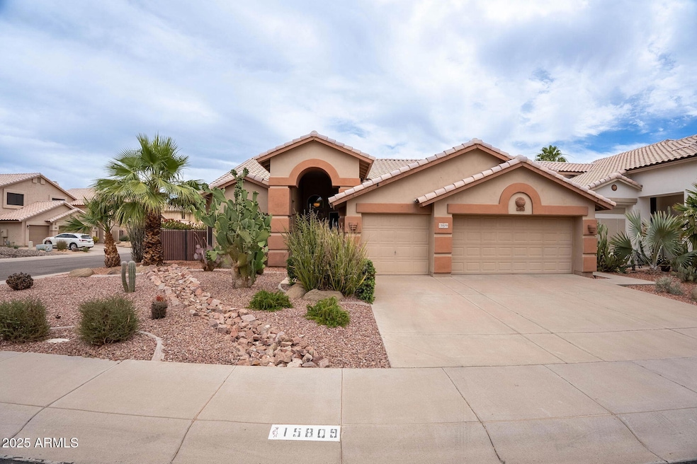 2-web-or-mls-31st-2