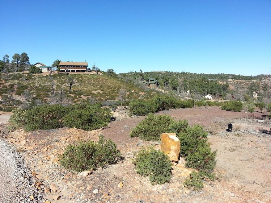 6250 Bull Elk Run unit 314, Show Low, AZ 85901 - photo 1