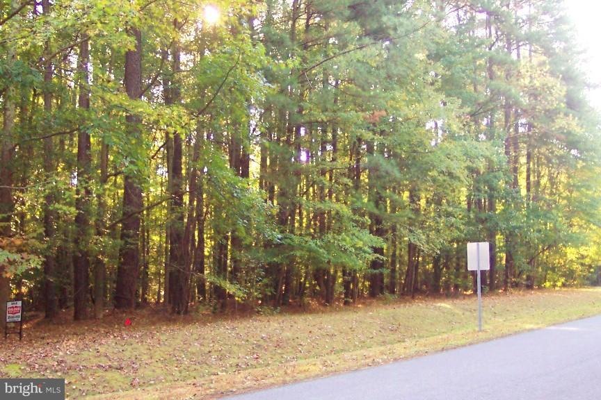 0 Guinevere Ln unit 1002758241, Pomfret, MD 20675 - photo 1