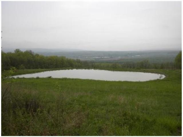 Land Stocked pond with largemouth bass and perch