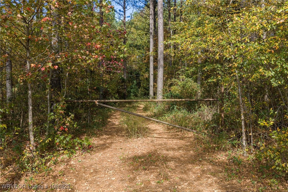 TBD Arkansas 23, Booneville, AR 72927 - photo 1