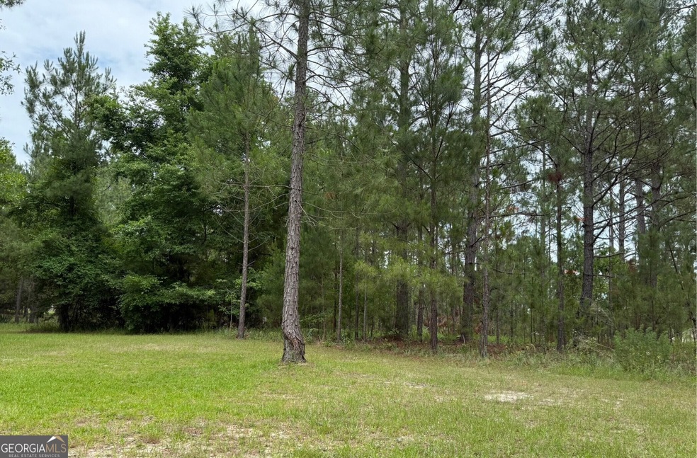 Lot 6 Centerbrook Rd, Vidalia, GA 30474 - photo 1