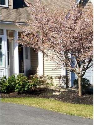 403 Red Tail Way unit 57, Lancaster, MA 01523 - photo 1