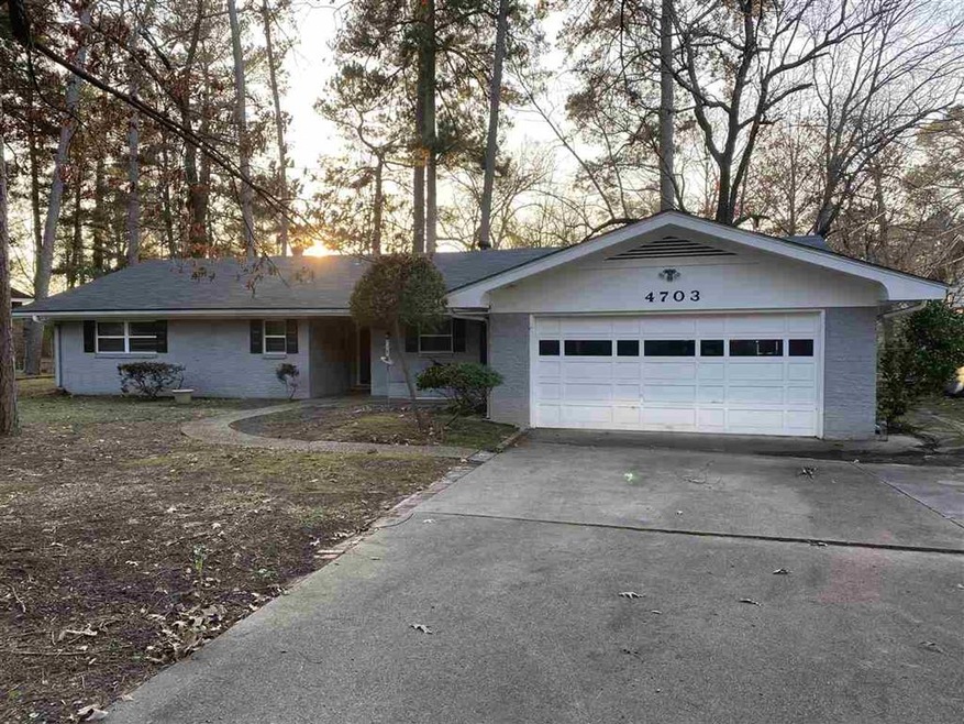 4703 N Park Rd, Texarkana, TX 75503 - photo 1