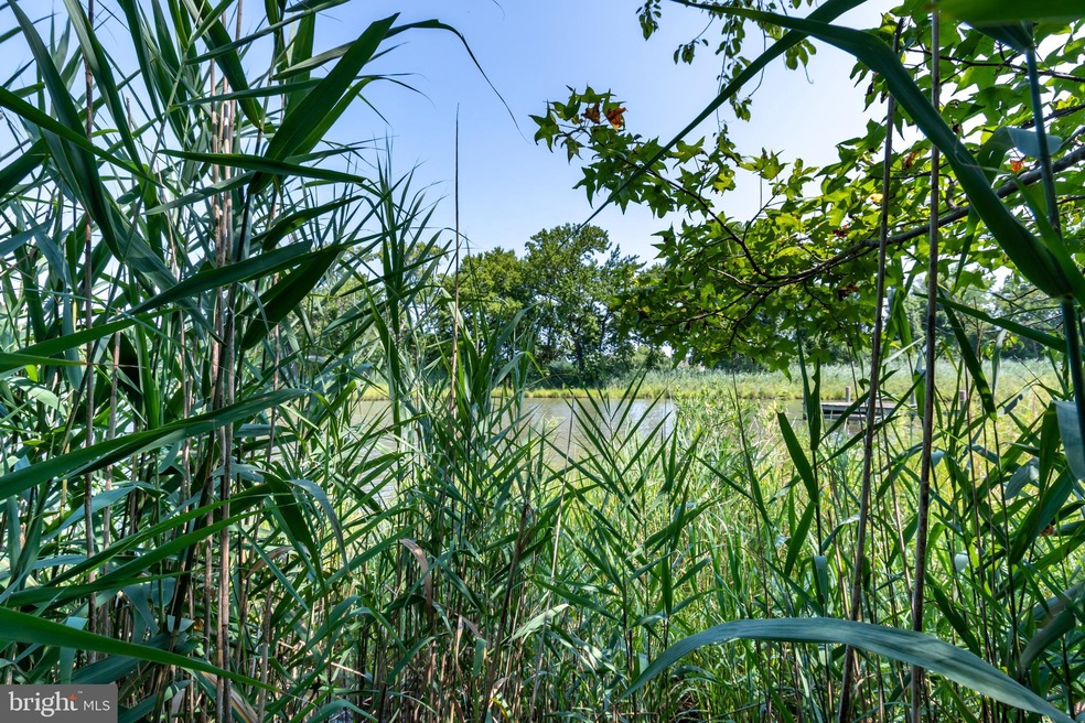 Lot 2 N Lake Dr, Stevensville, MD 21666 - photo 1