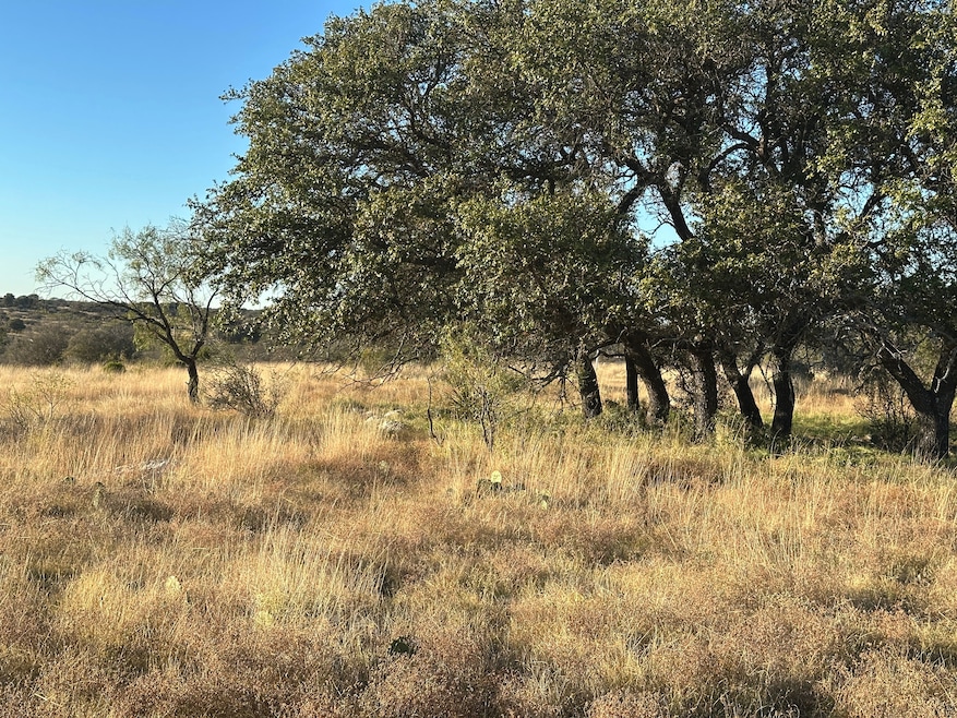 9288 Sutton County Road 406, Sonora, TX 76950 - photo 1