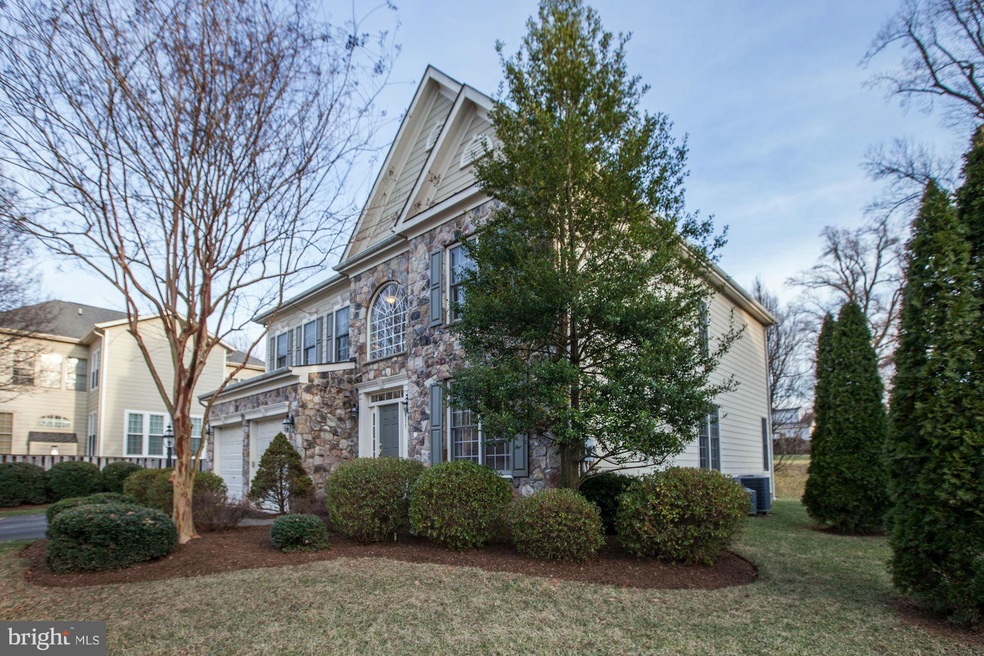 6811 Moly Dr, Falls Church, VA 22046 - photo 1