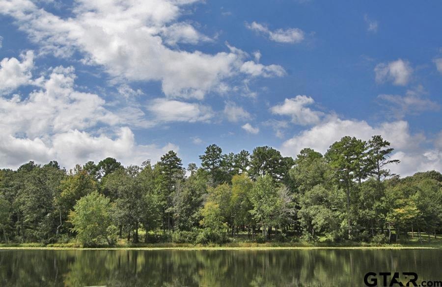 1930 Stonegate Cir, Tyler, TX 75703 - photo 1