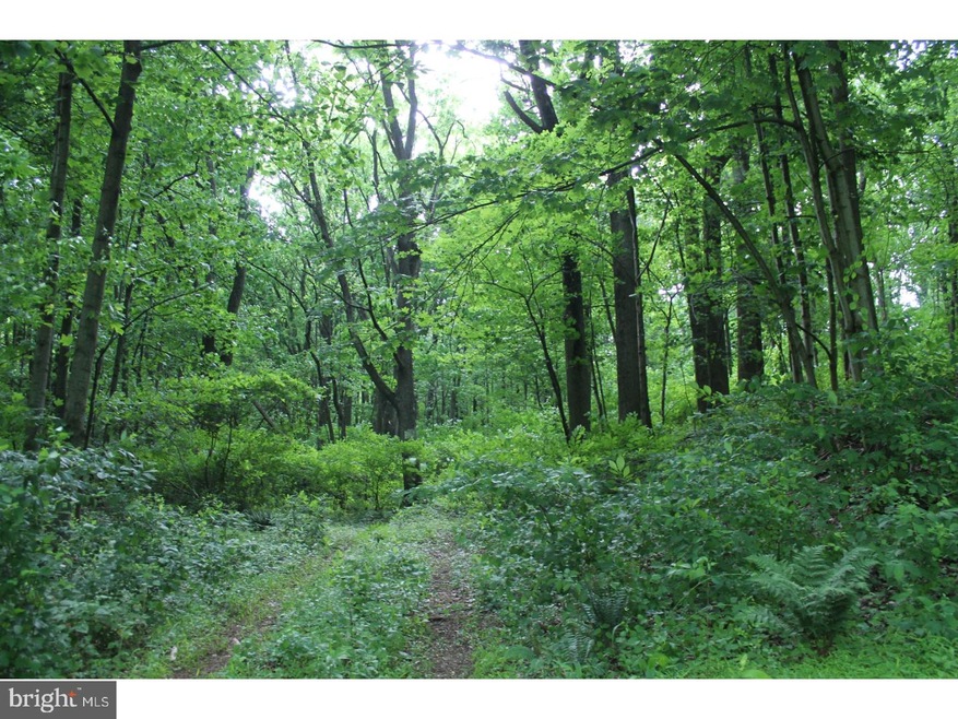 12 Maple Grove Rd, Mohnton, PA 19540 - photo 1