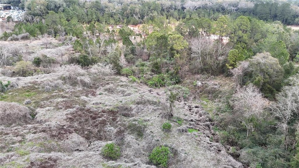 0 Rester Rd, Theodore, AL 36582 - photo 1